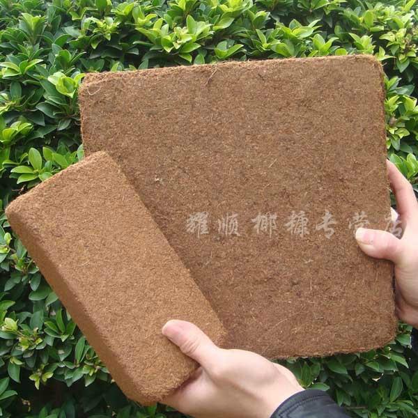 椰土砖可替代泥炭的优质基质