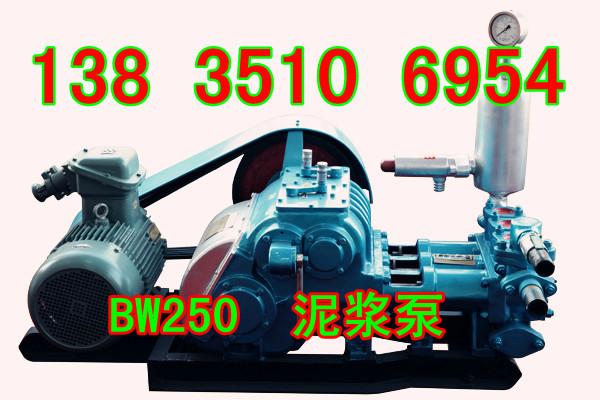 贵州现价销售泥浆泵_卧式泥浆泵_泥浆泵活塞_BW 系列泥浆泵