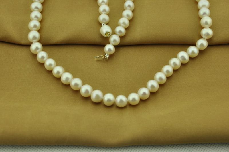 中国珍珠品牌领航者品牌保证批发