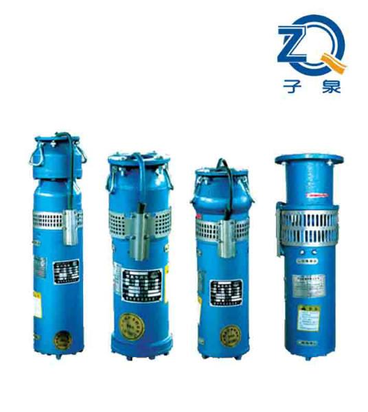 供应QS型喷泉泵_QS型潜水式喷泉泵_QS型喷泉泵价格