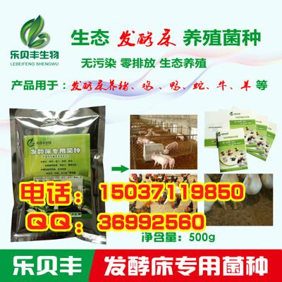 供应用于生态养猪菌种的安徽芜湖发酵床养猪专用菌种滁州市