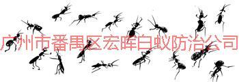 供应南村白蚁防治杀虫灭鼠化龙白蚁公司
