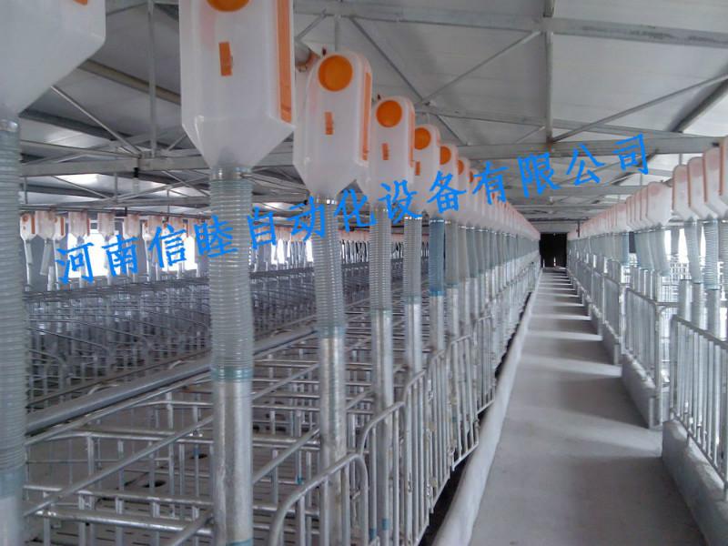 供应猪场自动化供料设备