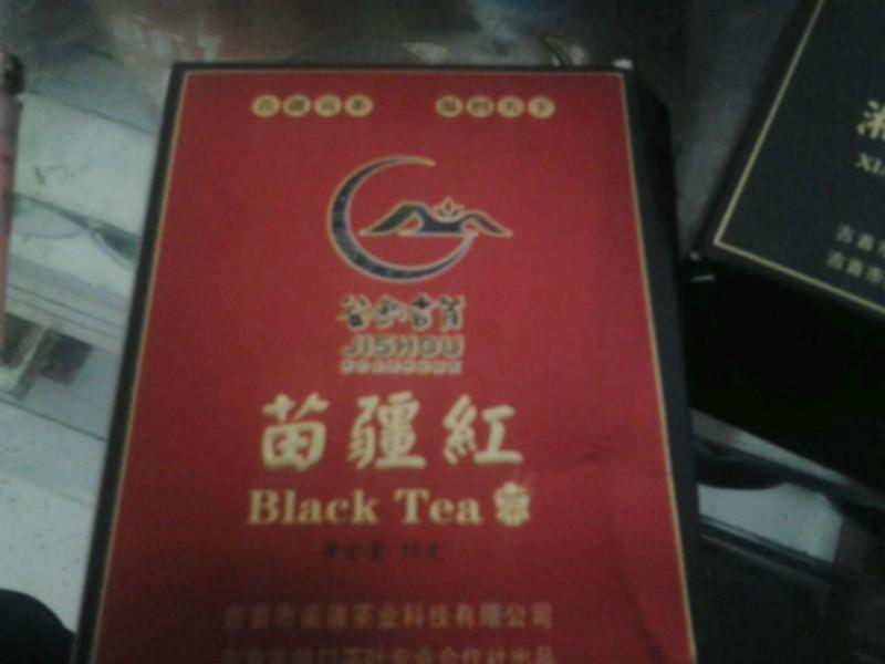 供应中国红茶茶苗价格批发