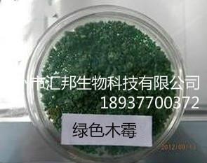 供应哈茨木霉 邓州汇邦生物微生物制剂哈茨木霉图片