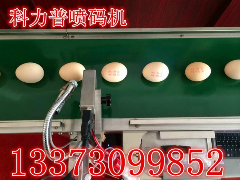 供应全国包邮鸡蛋喷码机科力普KP-16A 小型鸡蛋喷码机，河北销售鸡蛋图片