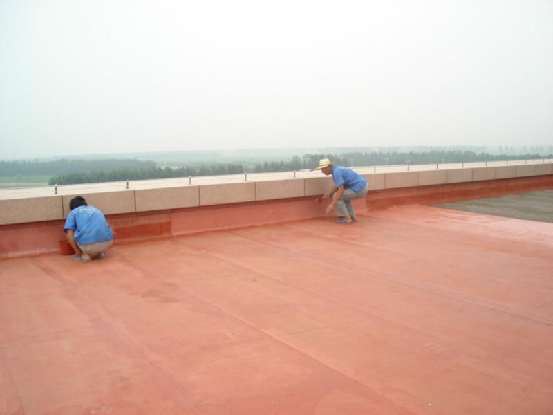 屋面楼顶防水涂料承接防水工程