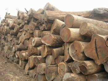非洲木材进口清关代理批发