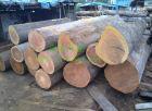 老挝木材进口清关代理批发