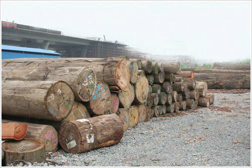东南亚木材进口清关代理供应东南亚木材进口清关代理，广州黄埔港木材进口报关公司