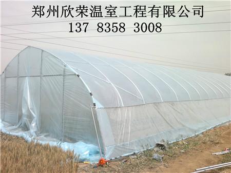 郑州市郑州蔬菜大棚建设几字钢温室建造厂家供应郑州蔬菜大棚建设几字钢温室建造