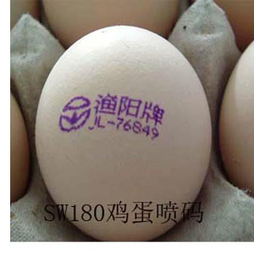 上海鸡蛋喷码机专业喷码打码机批发