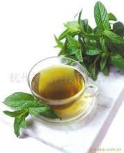 供应用于抗氧化、清除自由基的绿茶提取物