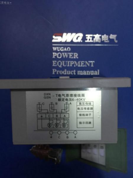供应DXN-T显示器带传感器-上海五高T型显示器带传感器-上海五高显示器DXN-显示器五高电气-DXN高压带电显示装置图片