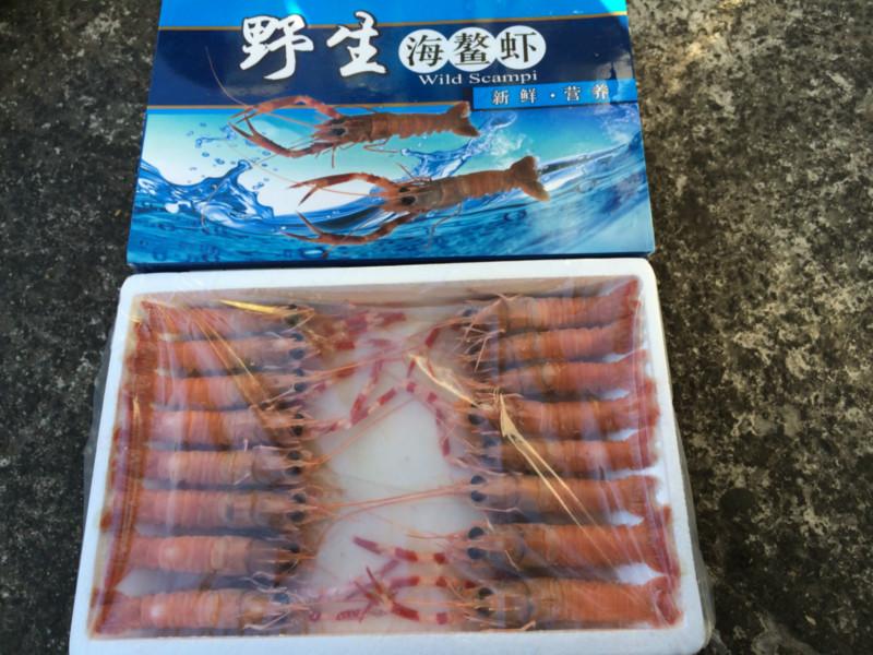 供应批发进口野生海鳌虾