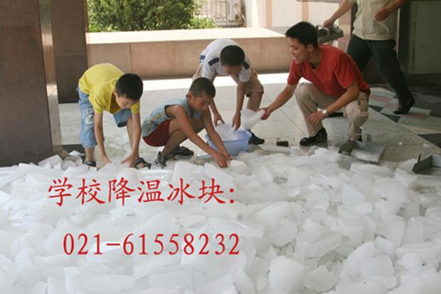 嘉定区夏季降温冰块欢迎订购021-61558232