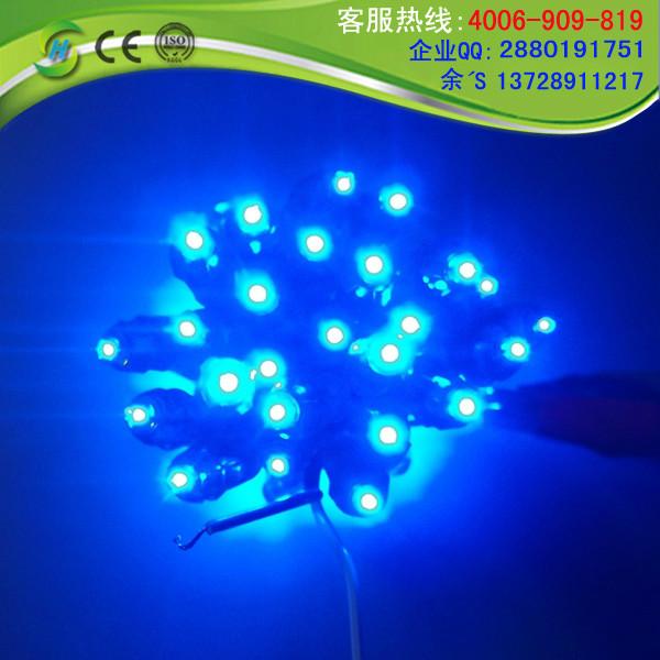深圳市9MM蓝光灯串厂家供应9MM蓝光灯串LED广告发光字灯串LED装饰灯串
