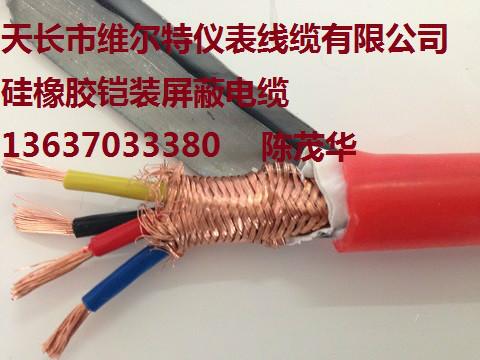 滁州市阻燃硅橡胶计算机电缆厂家供应阻燃硅橡胶计算机电缆ZR-DJFGPR-1x2x1.5