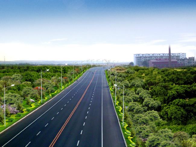 供应浦东新区公路绿化养护—上海市政道路绿化养护