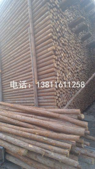供应北京地区杉木杆供应杉