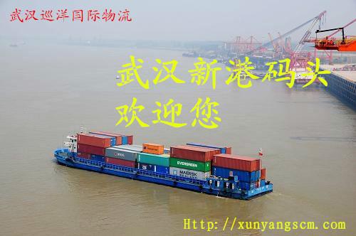 供应武汉国际海运订舱拖车报关仓储一条龙图片