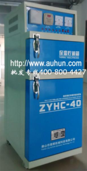 ZYHC-40电焊条烘干箱厂家批发
