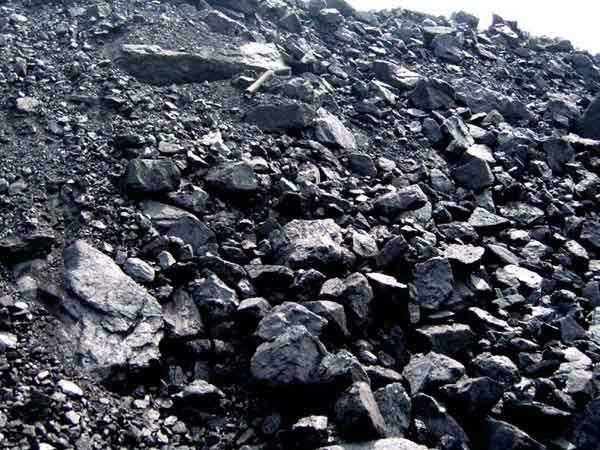 煤炭销售公司型煤批发
