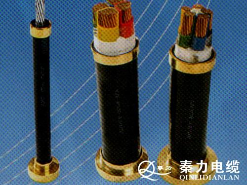 供应铝合金电缆陕西铝合金电缆厂家汉中铝合金电缆延安铝合金电缆图片