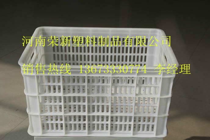 供应山东塑料鸡蛋筐隔板鸡蛋筐厂家直销13673330774图片
