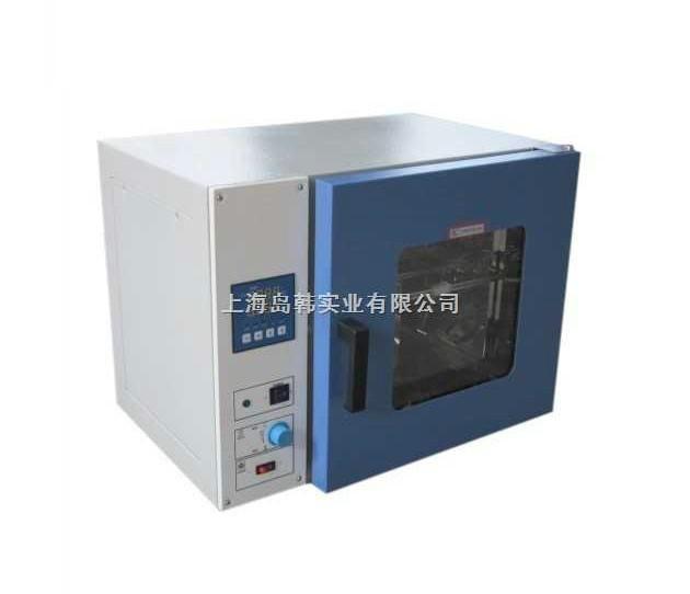 台式250℃鼓风干燥箱 DHG-9023A电热恒温鼓风干燥箱 干燥箱