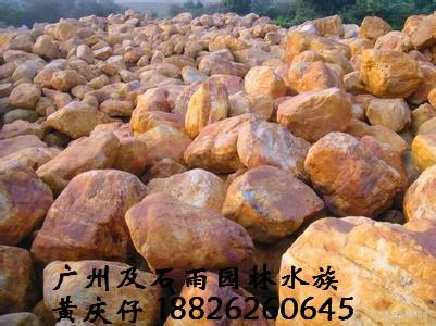 供应广州及石雨供应批发造景石黄蜡石，沉木杜鹃根