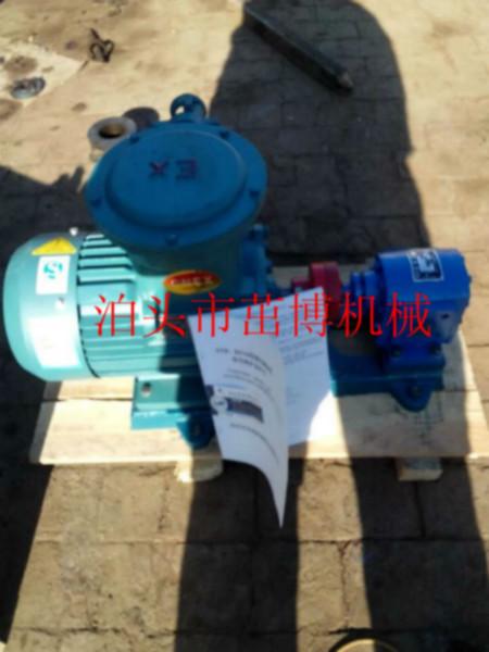 供应高温油泵，江苏南京ZYB1/0.3高温油泵，杂质泵，耐磨泵图片