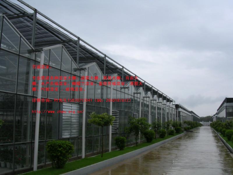 供应玻璃温室、温室大棚建设、 广东玻璃温室