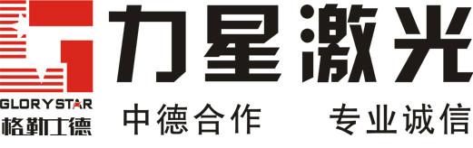 广东省东莞市力星激光科技有限公司