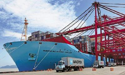 供应上海至弗里曼特尔海运专线宠物用品海运进出口报关物流代理