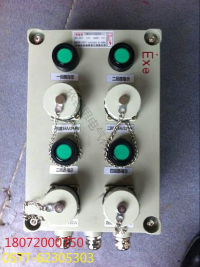CBC53-A2D2防爆现场控制按钮箱报批发
