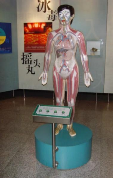 供应微电脑人体吸毒血液循环演示模型-上海心肺复苏模型-哪里有心肺复苏模型厂家-优质心肺复苏模型厂家-心肺复苏模型价格图片
