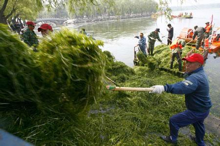 供应云南垃圾清运公司，昆明垃圾清运公司电话