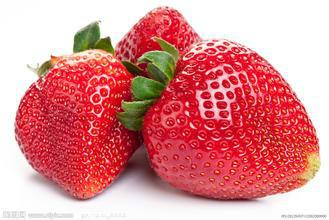 供应广州牛奶草莓种植基地，广州牛奶草莓市场价格