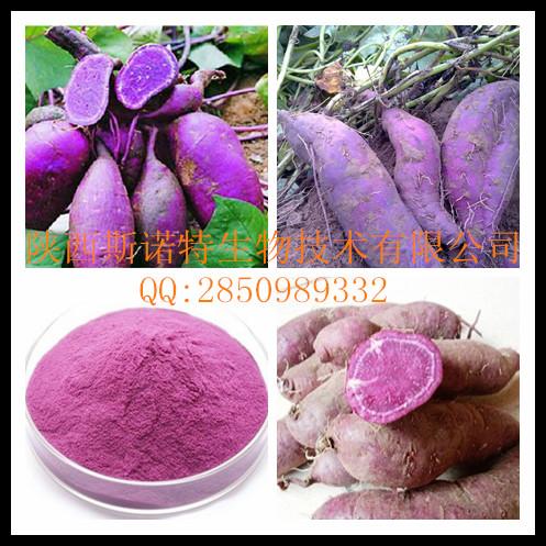 供应紫薯花青素 纯天然紫薯提取物厂家 大量现货 价格优势图片