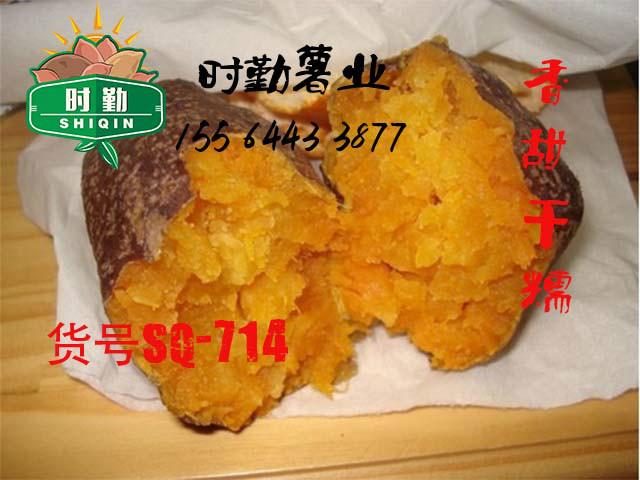 陕西烟薯25批发 山西蜜薯烟薯25 上海烤红薯首选