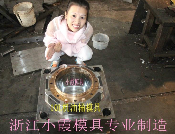 化工桶模具 台州哪里模具便宜 20L化工桶模具图片