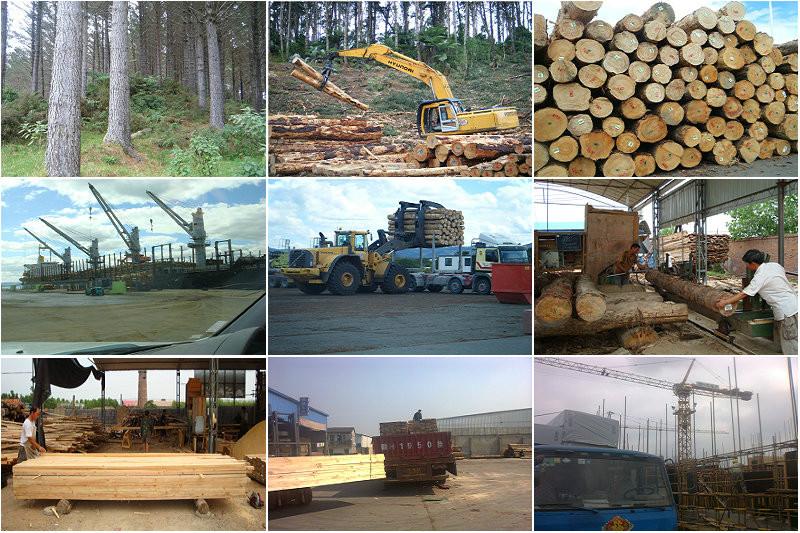 供应用于的太仓木材加工厂哪家好？
