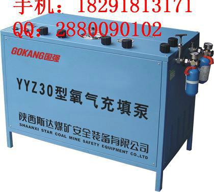 供应YYZ30型氧气充填泵