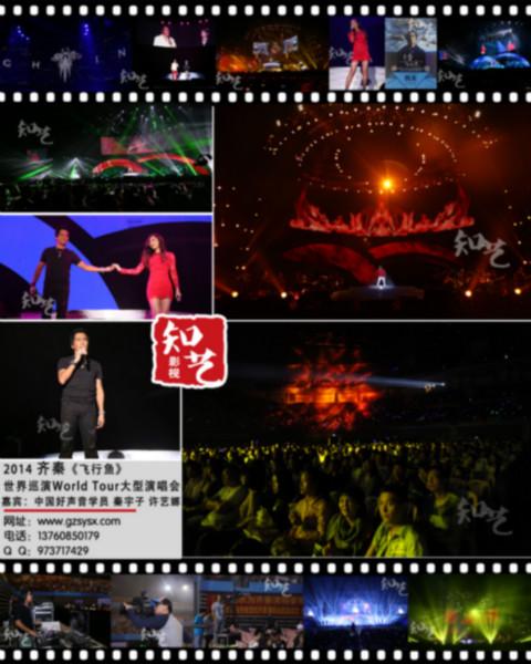 广州电视广告摄像批发
