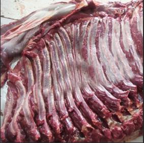 供应上海驴肉价格多少/上海驴批发价格/上海驴肉供应