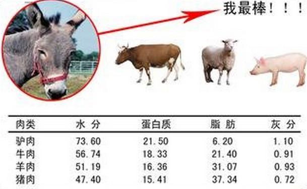 供应扬州驴肉供应/扬州驴肉供应批发/扬州驴肉供应价格