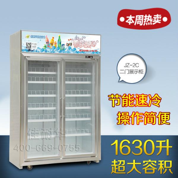 供应标准型两门便利店冰柜佳耐华JZ-2C两门冷柜立式冰柜价格优惠