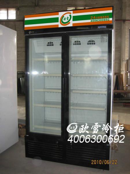 供应珠海香洲韩国食品低温立式冷冻过厂家图片