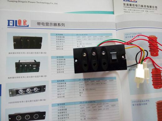 供应高压带电显示专业生产厂家，，ABB高压带电显示器加工厂家,闭锁型带电显示器定制加工厂家,
